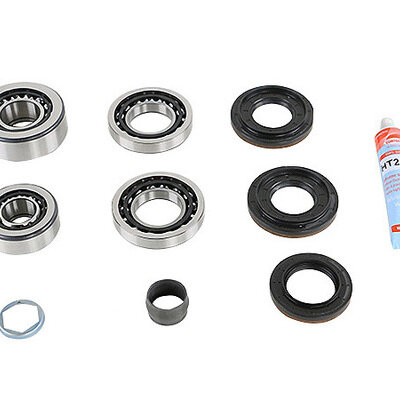 462014810 INA - BMW Gearbox 188L Bearing Diff Kit