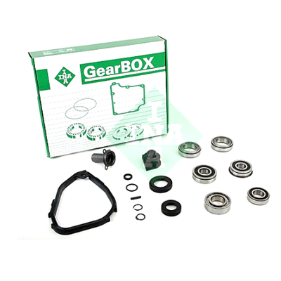 462015110 INA MA Gearbox Bearing Kit : CITROEN - FIAT - PEUGEOT