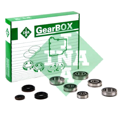 462015410 INA FIAT Gearbox Bearing Kit
