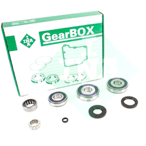 462015210 INA NSG370 Jeep Gearbox Bearing Kit